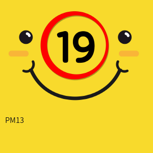 PM13